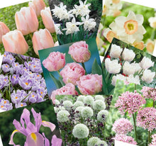 Load image into Gallery viewer, Red Kite Garden Design Bulb Collection Guide