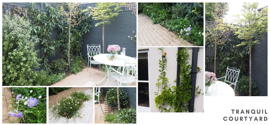 Tranquil Courtyard in Forest Hill