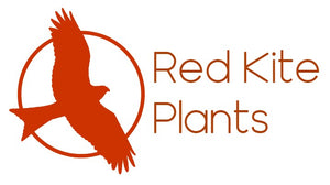 Red Kite Plants