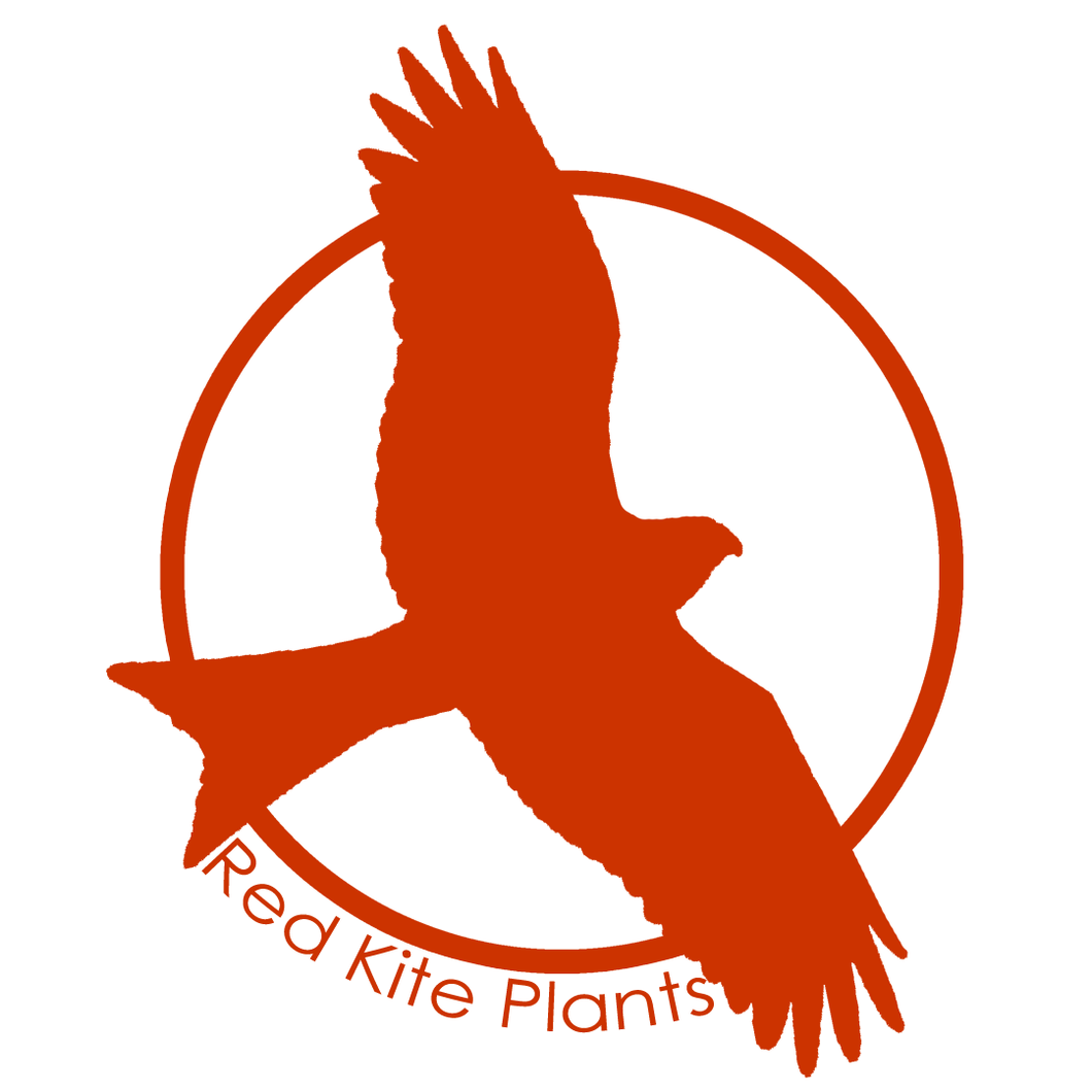 Red Kite Plants Gift Card